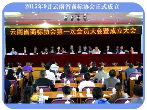 2015年云南商标协会正式成立